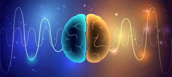 sound waves in the brain